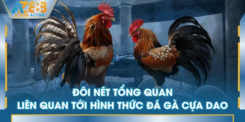 Đôi nét tổng quan liên quan tới hình thức đá gà cựa dao