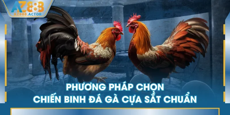 Phương pháp chọn chiến binh đá gà cựa sắt chuẩn