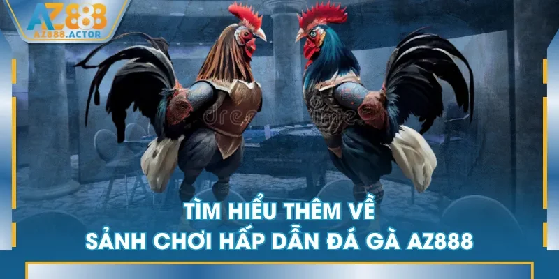 Tìm hiểu thêm về sảnh chơi hấp dẫn Đá Gà AZ888