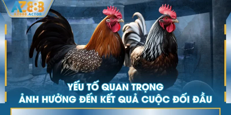 Yếu tố quan trọng ảnh hưởng đến kết quả cuộc đối đầu